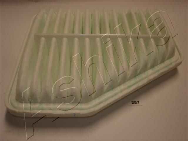 Air Filter 20-02-257