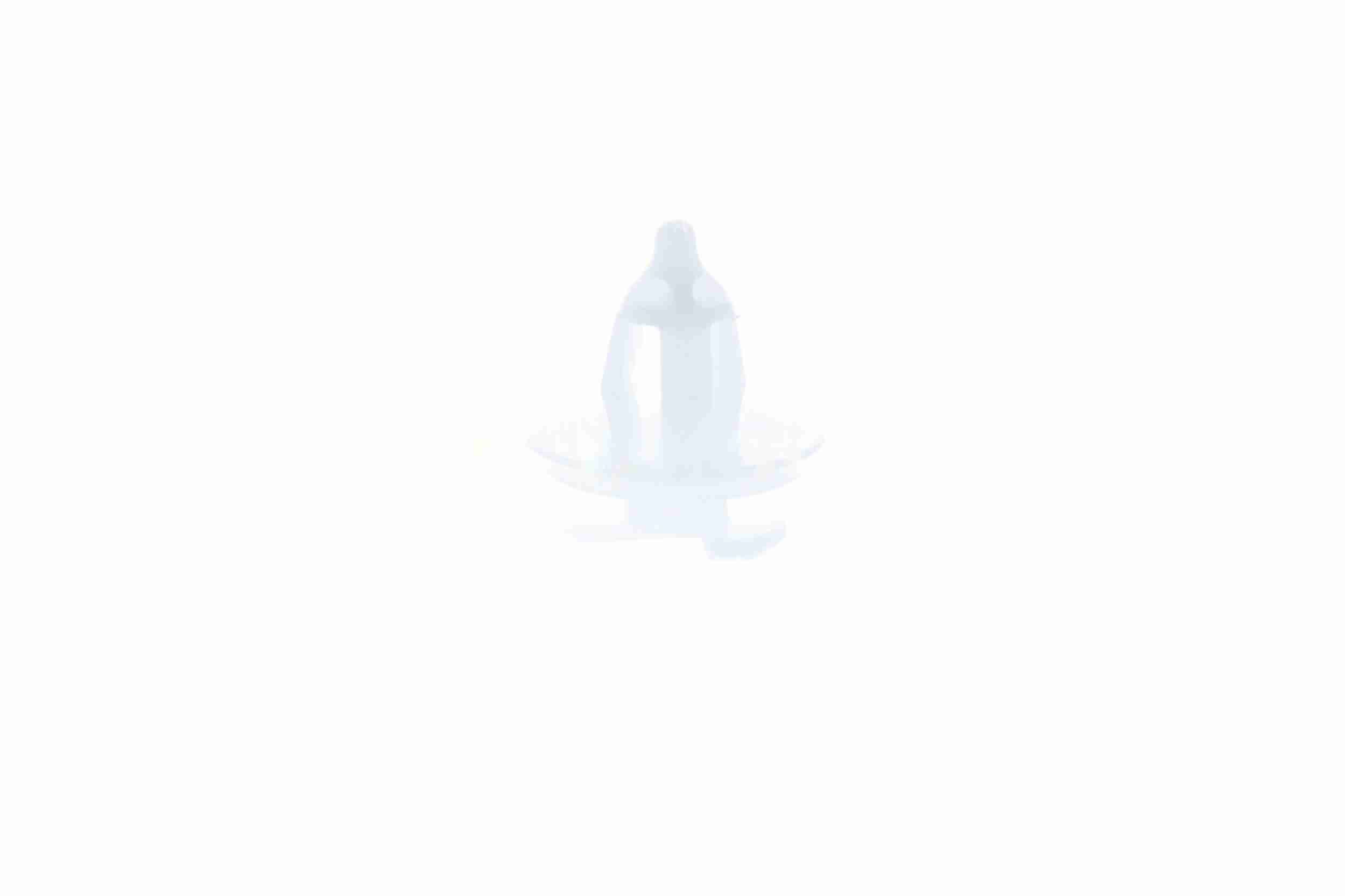 Clip