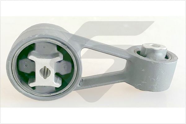 Halter, Motoraufhängung