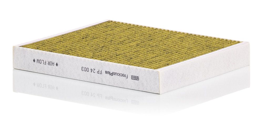 Filter, Innenraumluft