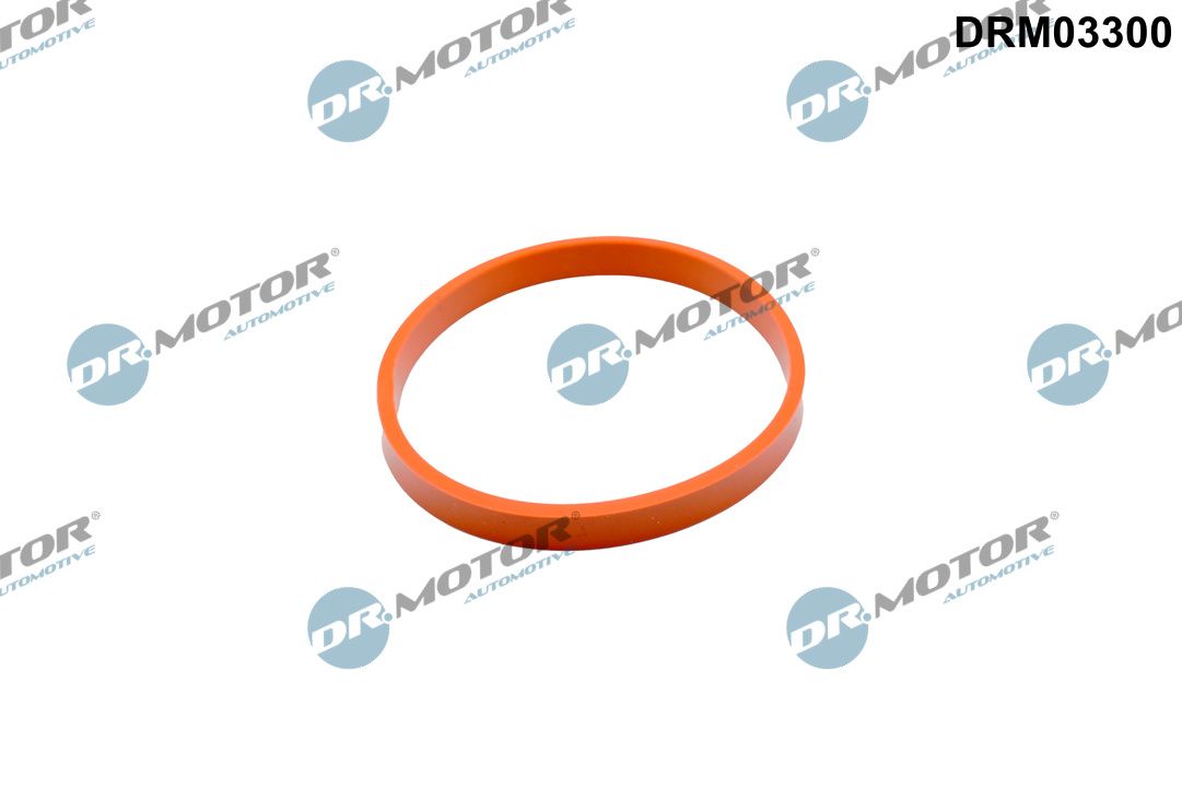 Dr.Motor Automotive DRM03300 Dichtung, Drosselklappenstutzen
