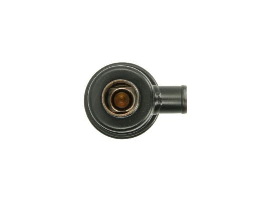 Thermostat, K&uuml;hlmittel