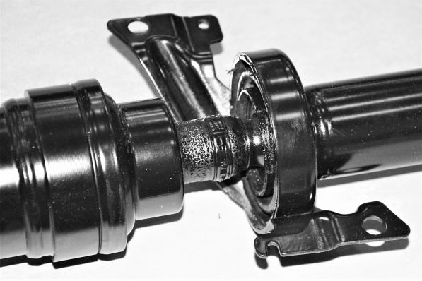 GKNP20090C.JPG