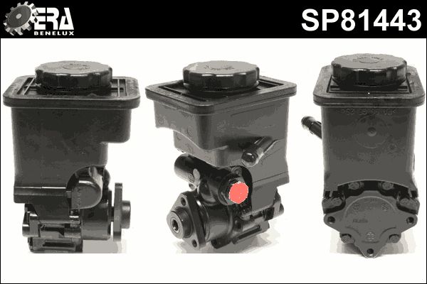 ERA Benelux SP81443 - Hydraulikpumpe, Lenkung