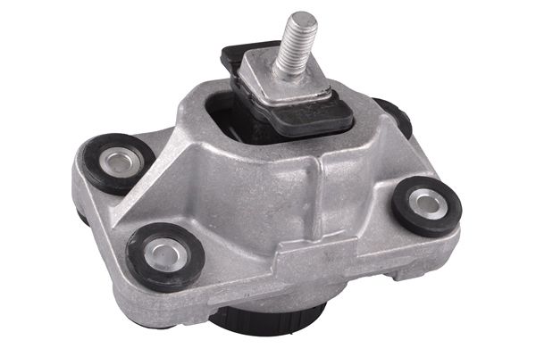 TEDGUM TED25296 - Lagerung, Motor