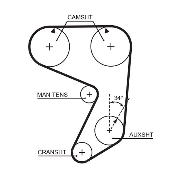 Timing Belt 5005