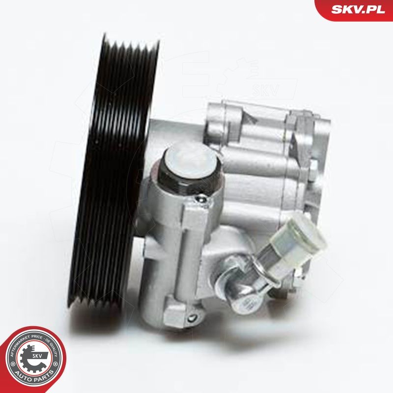 Hydraulikpumpe, Lenkung