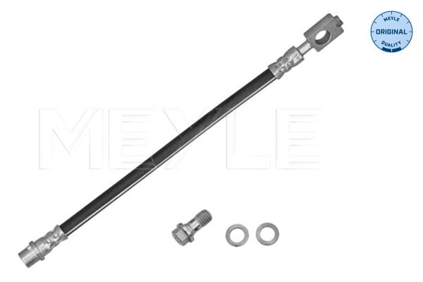 FS_1006110085S_1.JPG