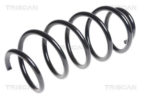 8750 29319 TRISCAN futómű rugó