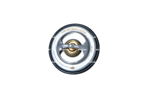 Thermostat, Kühlmittel