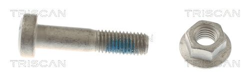 TRISCAN 8500 16861 Mounting and Bolting Kit, control/trailing arm