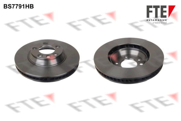 FTE 9081012 - Bremsscheibe