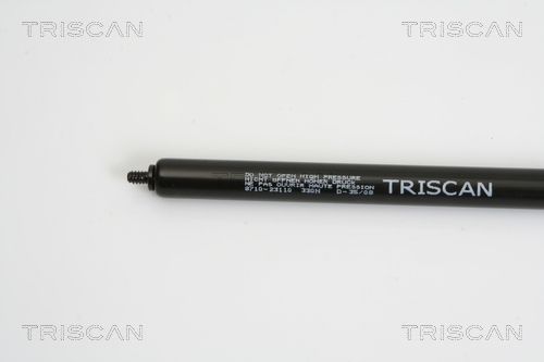 Triscan 8710 23110 Gasfeder, Motorhaube