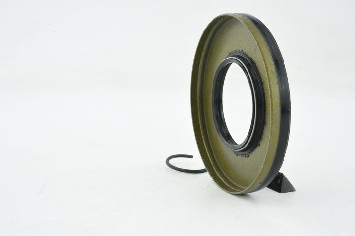 sandariklis, kardaninis velenas