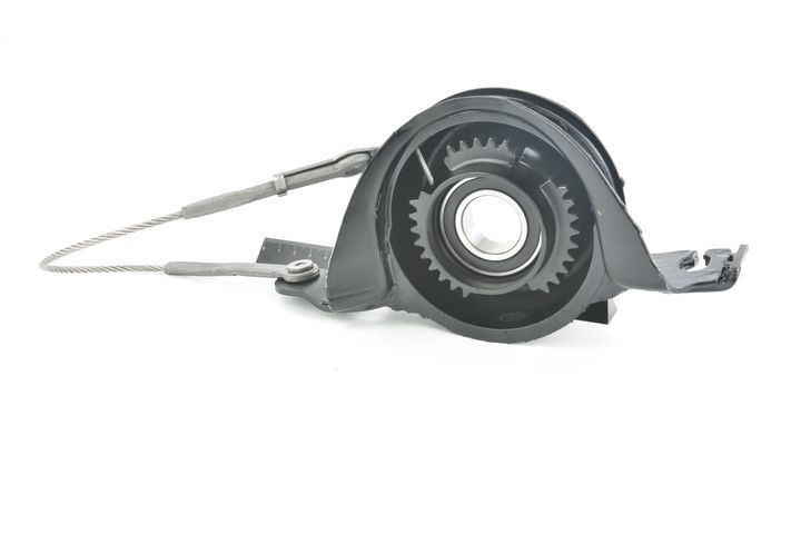 guolis, kardaninio veleno centrinis guolis