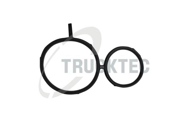 Dichtung, Steuergeh&auml;use