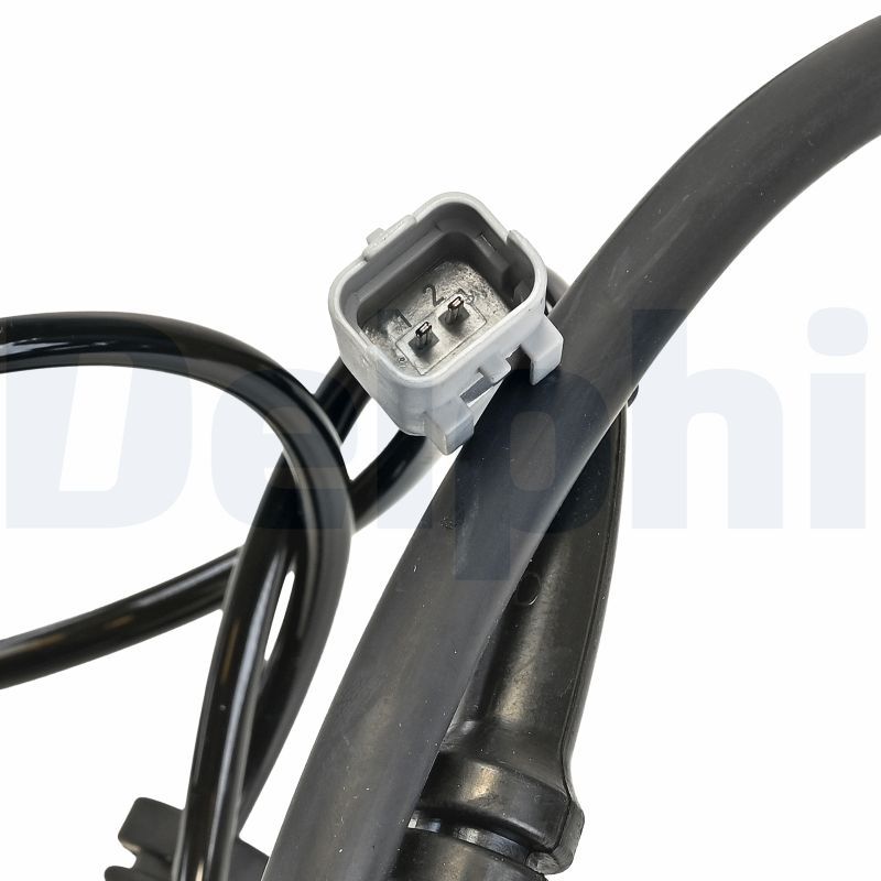 SS21529_1.JPG