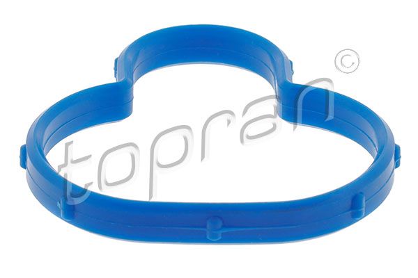 Dichtung, Ansaugkrümmer