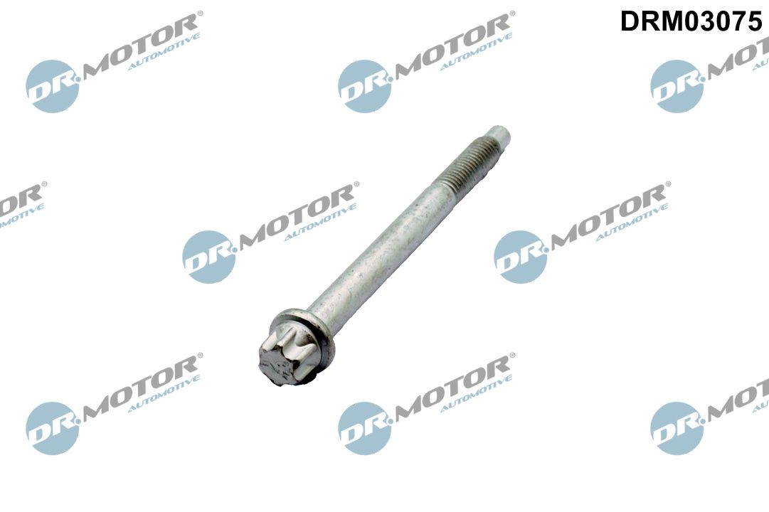Dr.Motor Automotive DRM03075 Screw, injection nozzle holder