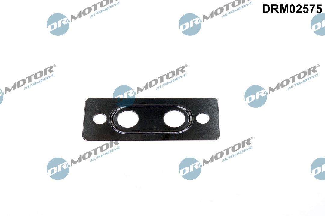 Dr.Motor Automotive DRM02575 - Dichtung, Wasseranschluss (Lader)