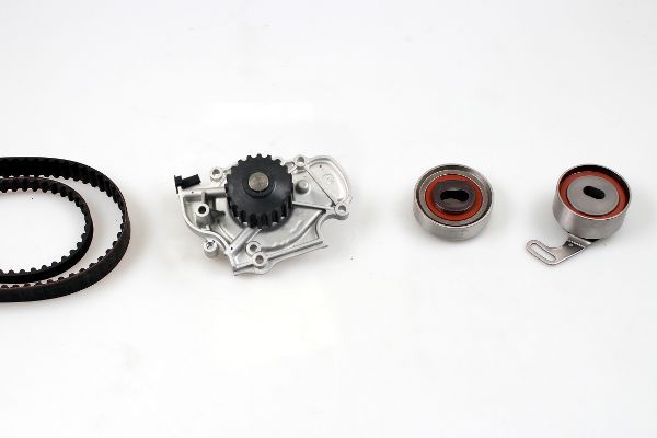 vandens siurblio ir paskirstymo diržo komplektas