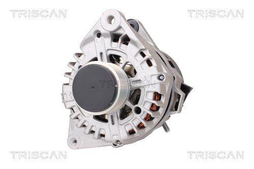 8310 43005 TRISCAN generátor