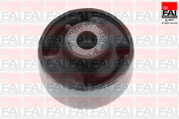 FAI SS9309 Lagerung, Lenker