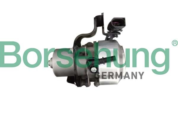 Borsehung B12301 Unterdruckpumpe, Bremsanlage