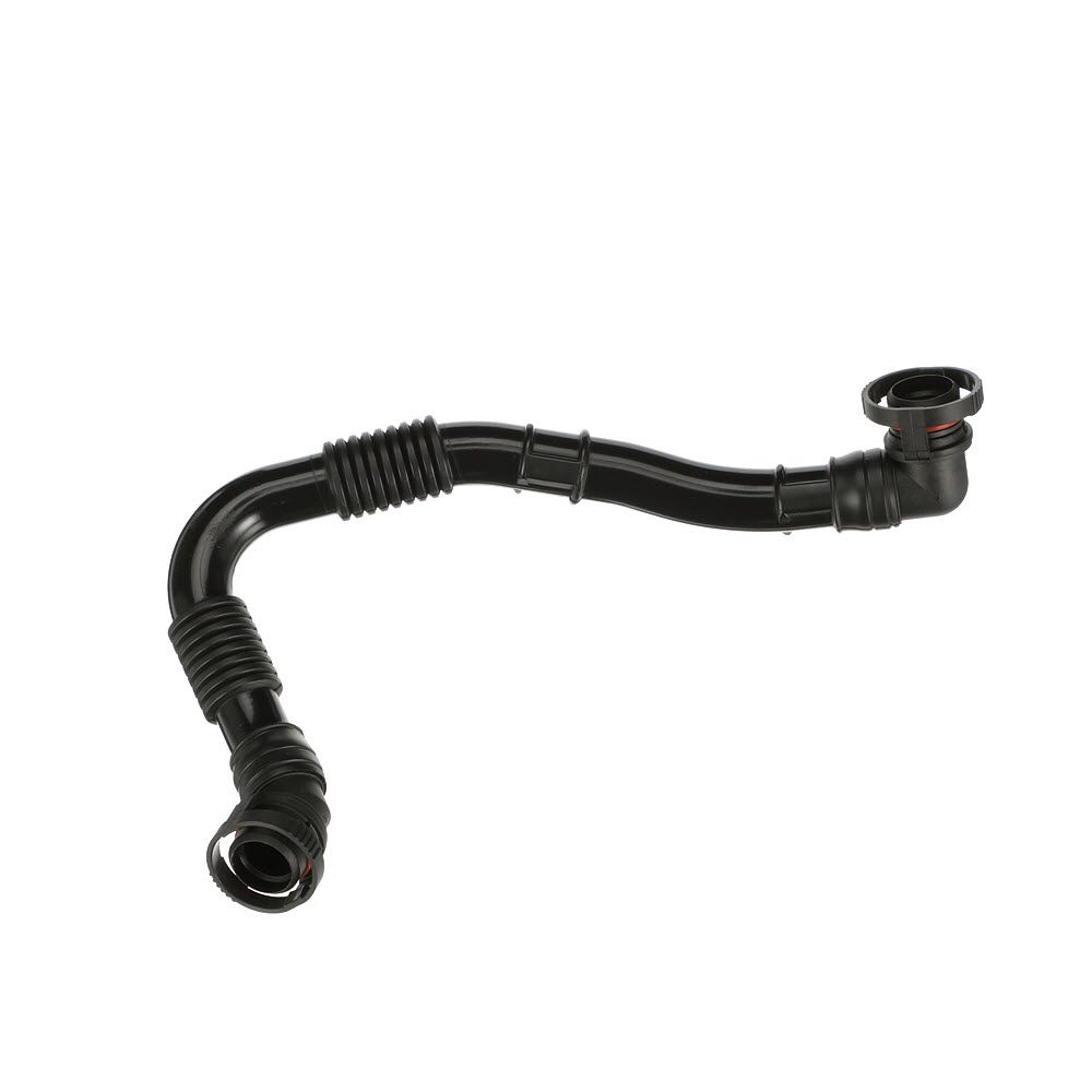 žarna, karterio alsuoklis