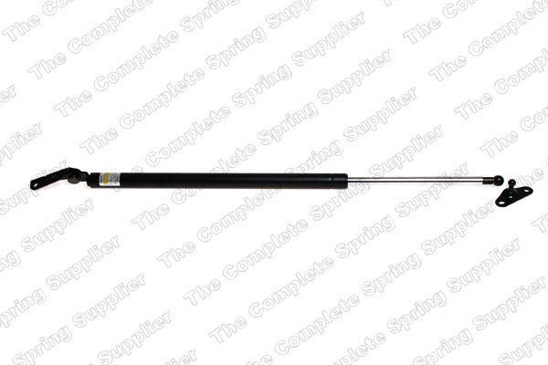 Gasfeder, Koffer-/Laderaum