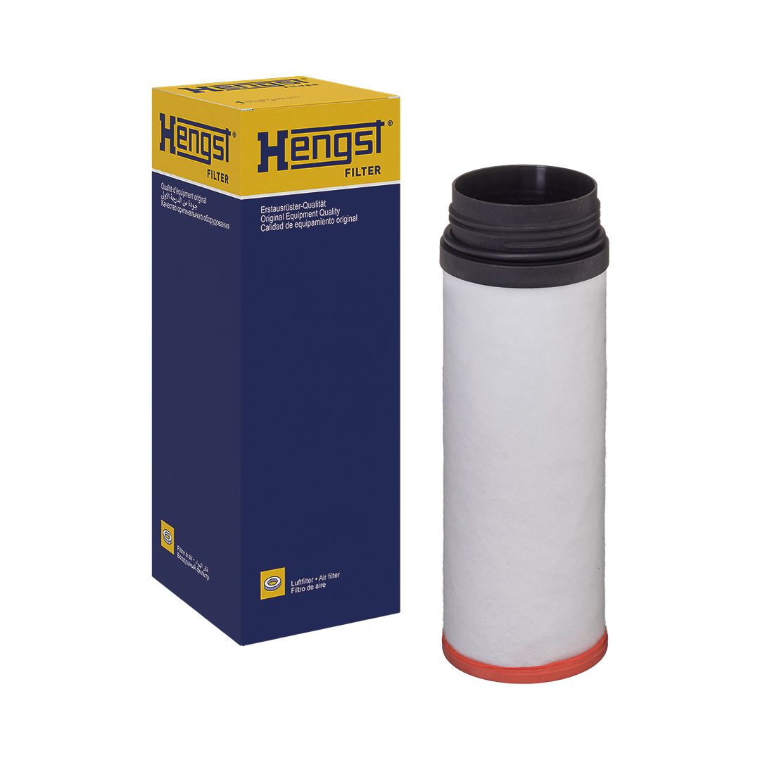 Sekundärluftfilter Sekundärluftfilter