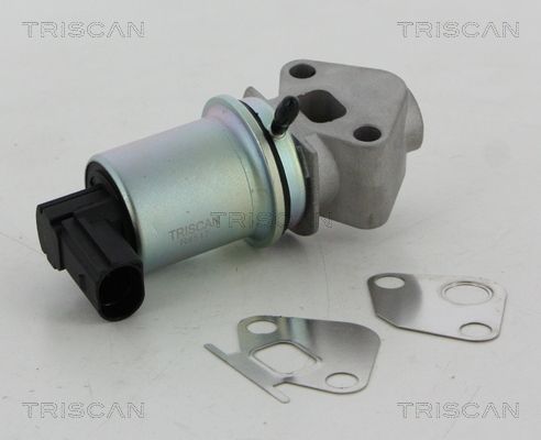 8813 29066 TRISCAN AGR-szelep