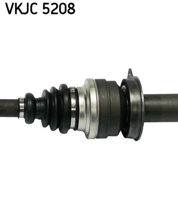 VKJC 5208_3.JPG