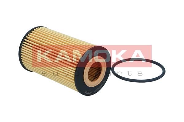 Oil Filter F125201