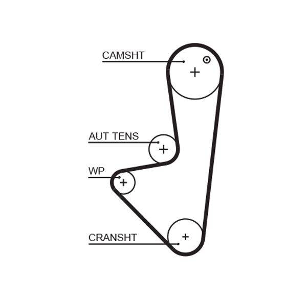 Timing Belt 5574XS