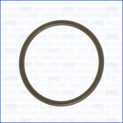 AJUSA 16023100 Seal, thermostat