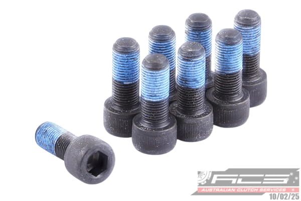 BOLT SET F/W GM 10x1.0x24.6 (8) 73Nm - TecDoc Only