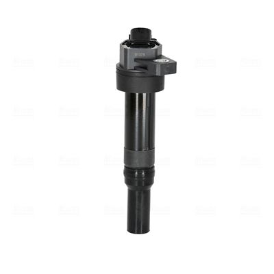 ritė, uždegimas