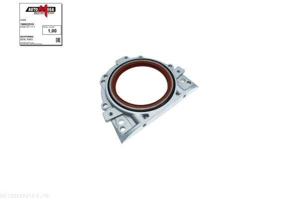 Wellendichtring, Kurbelwelle