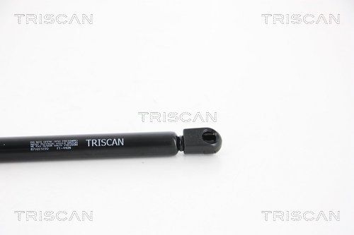 Triscan 8710 23220 Gasfeder, Koffer-/Laderaum