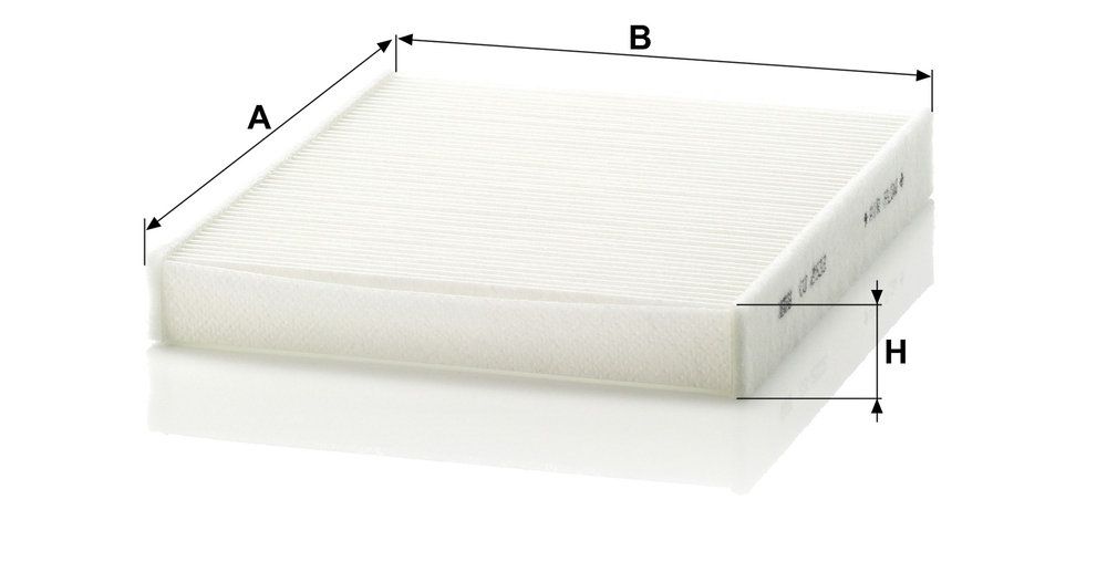 filtras, salono oras