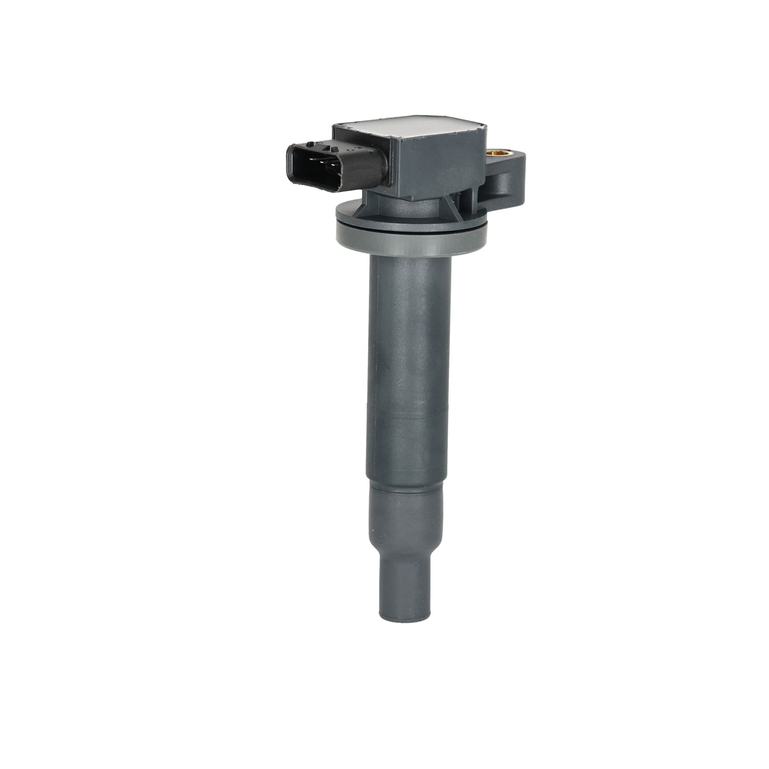 ritė, uždegimas