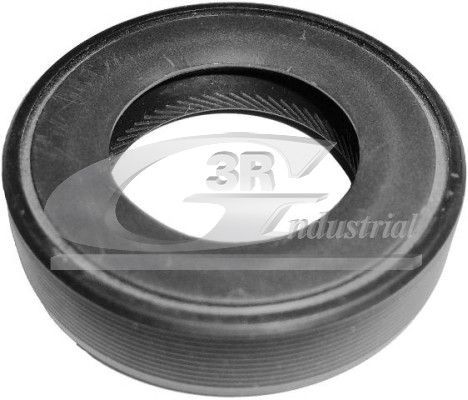 3RG 80209 - Wellendichtring, Differential