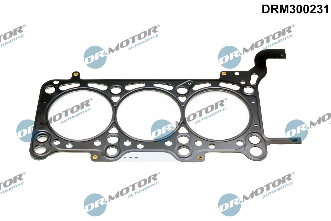 Dr.Motor Automotive DRM300231 Dichtung, Zylinderkopf