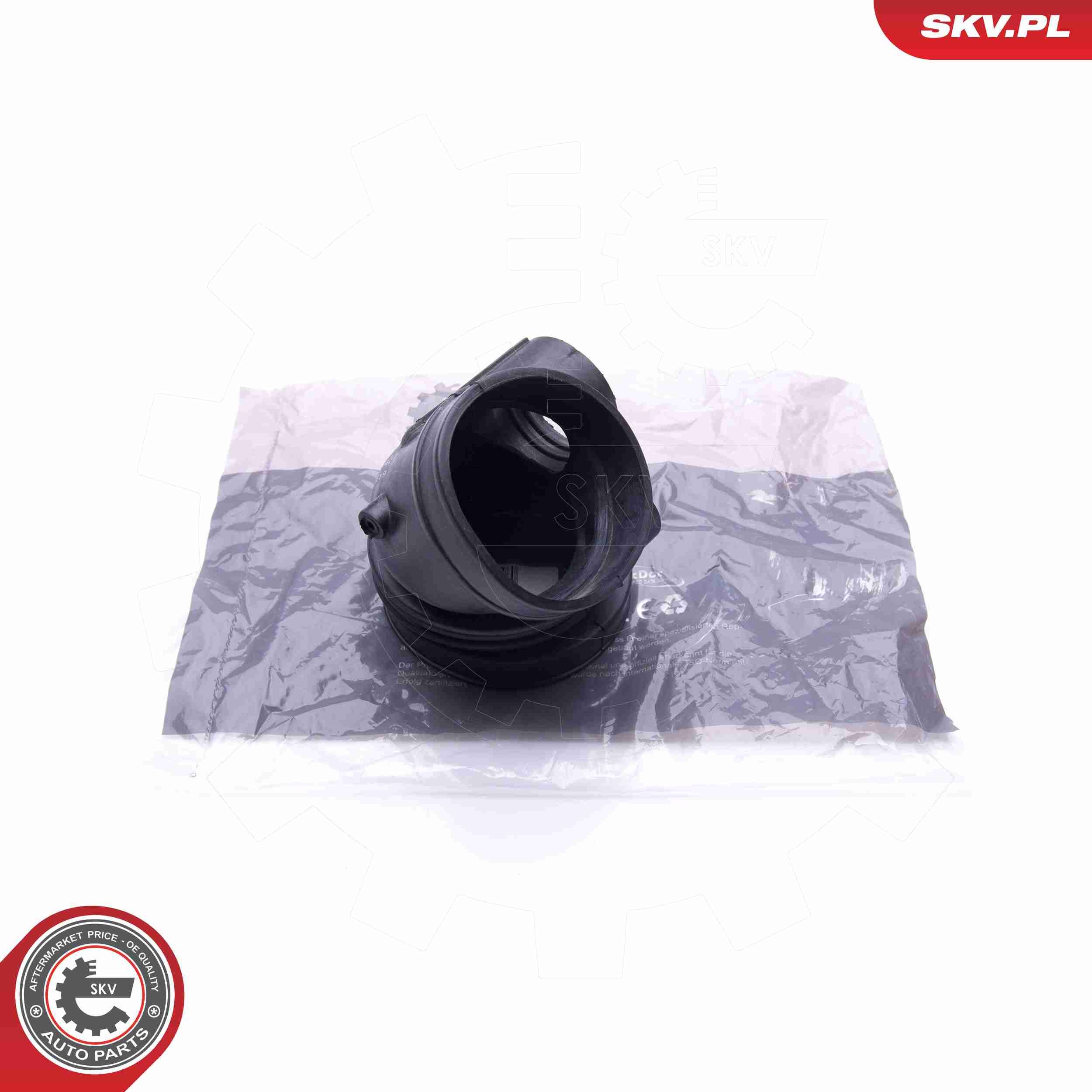 Ansaugschlauch, Luftfilter