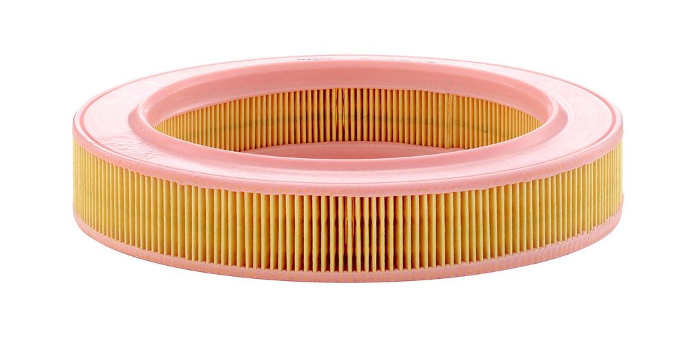 MANN-FILTER C 2540 - Luftfilter