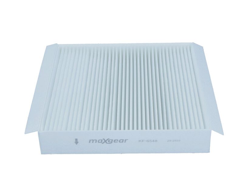 Filter, Innenraumluft