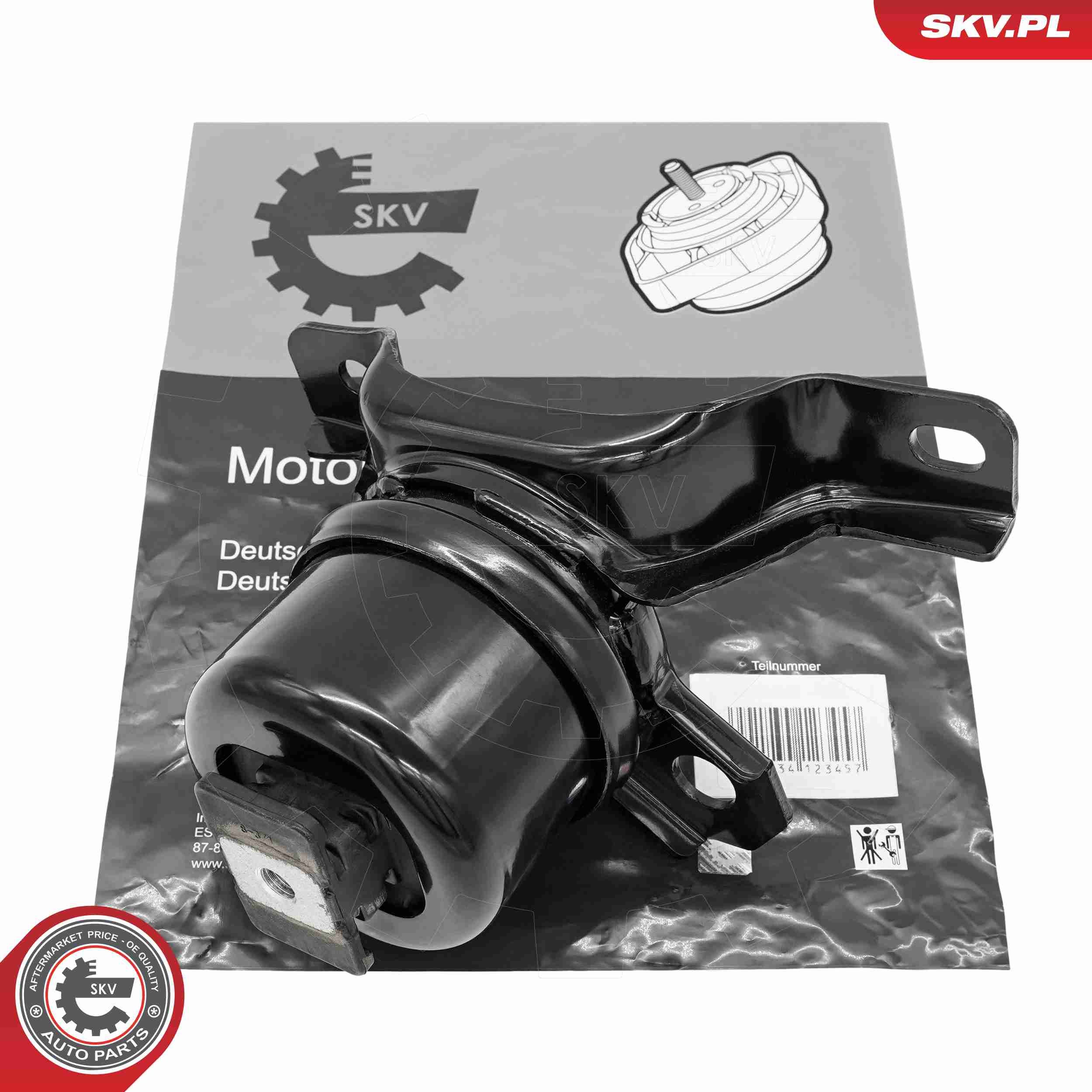 ESEN SKV 75SKV294 - Lagerung, Motor