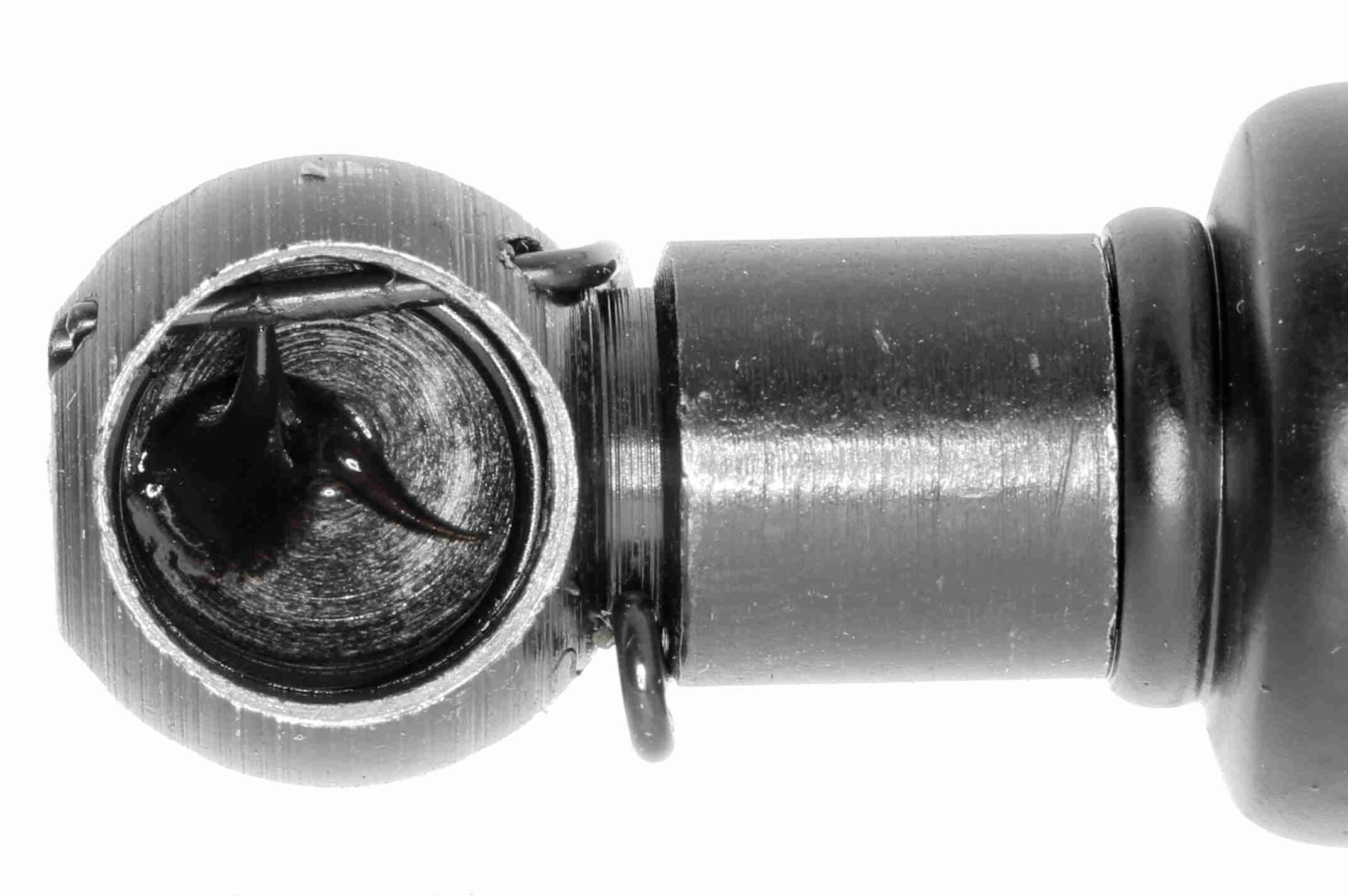 Gasfeder, Koffer-/Laderaum