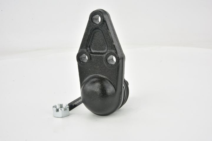 Šarnyras / girgždukas